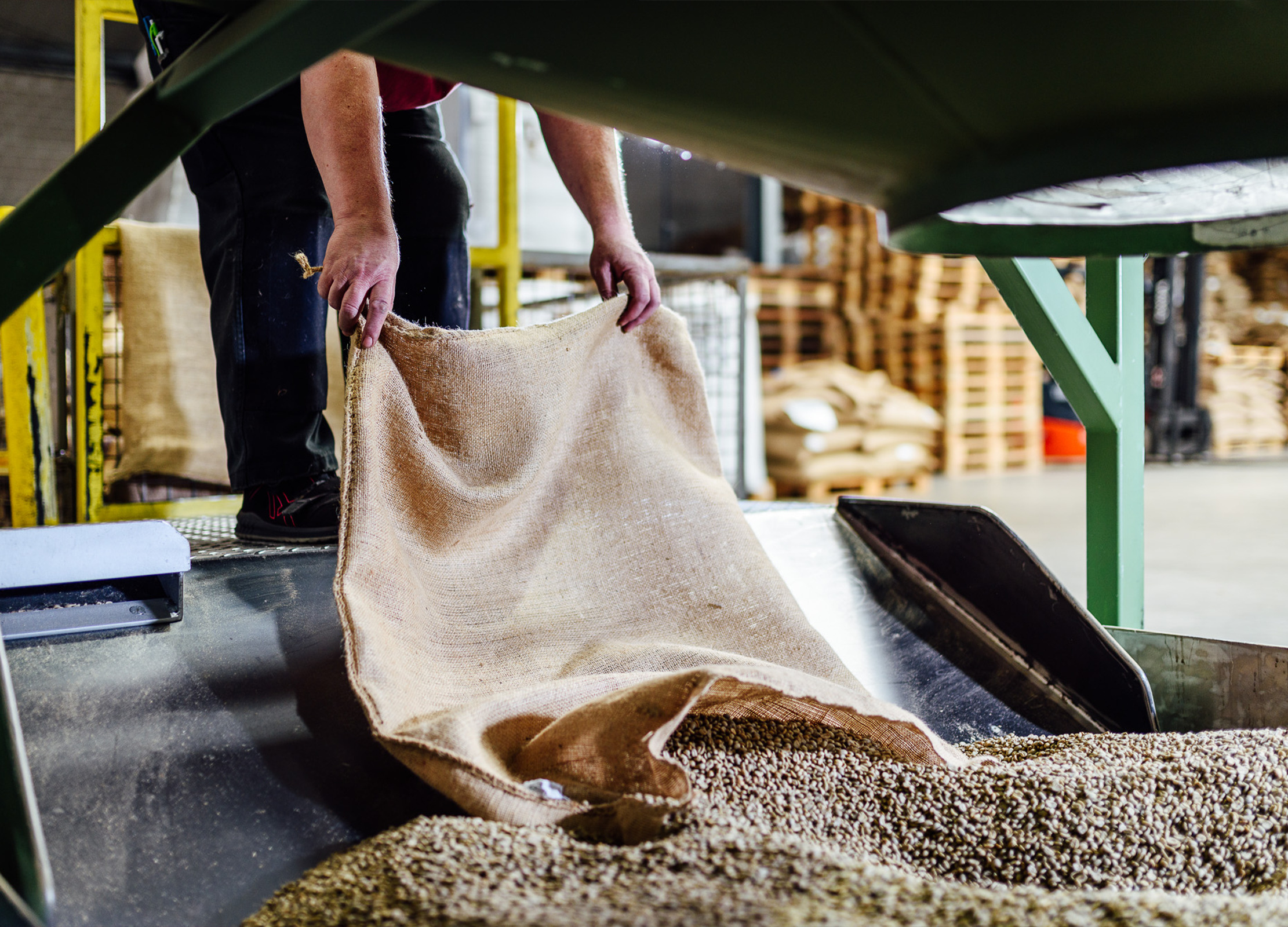 Produktionsmitarbeite von Niehoffs Kaffeerösterei schüttet Sack mit Rohkaffee in die Rösteranlage