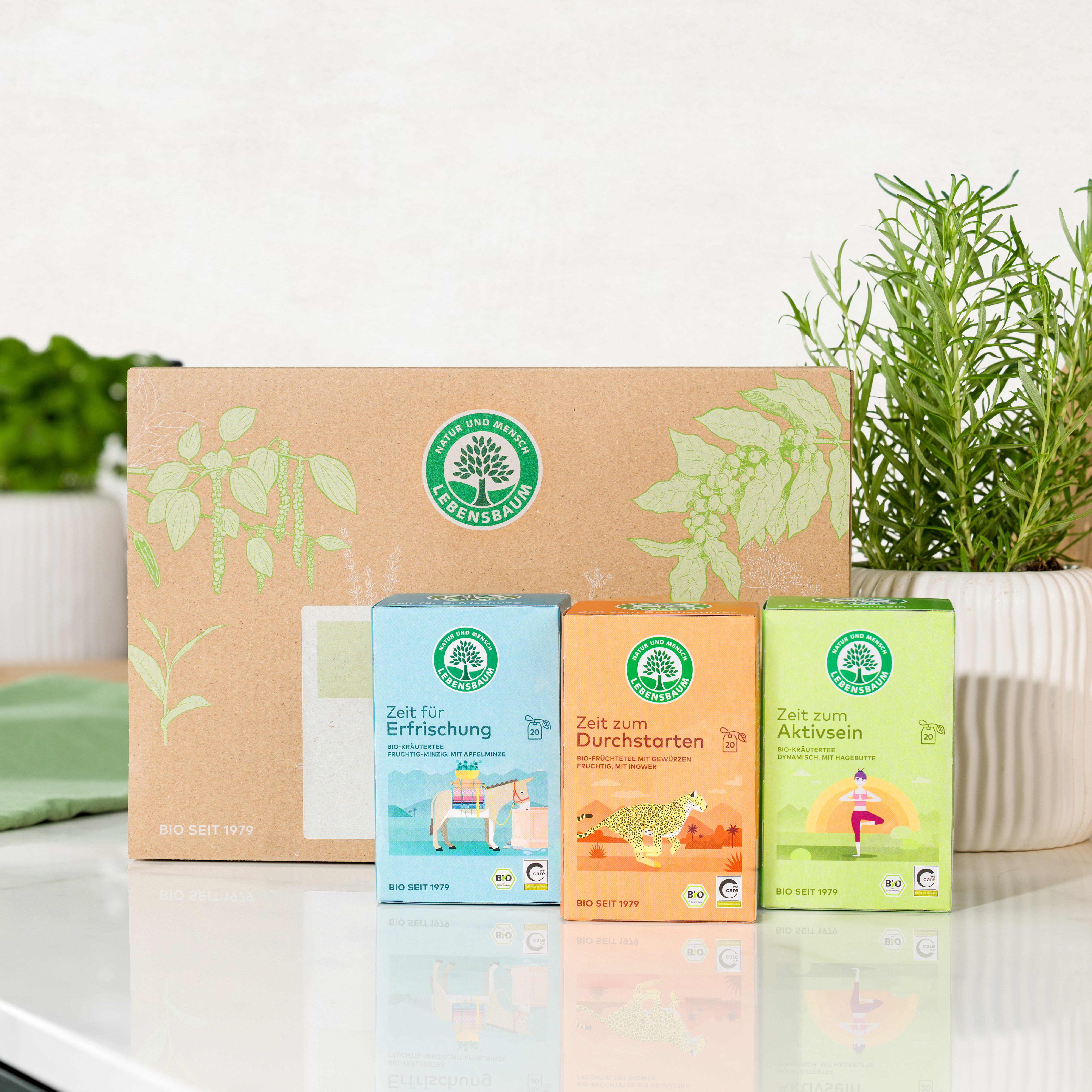 Bio Tee-Set Frischer Schwung mit Zeit für Erfrischung, Zeit zum Durchstarten und Zeit zum Aktivsein